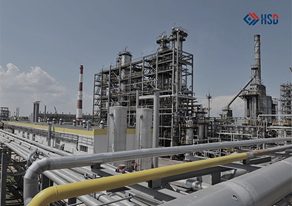 Chemical & Petrochemical